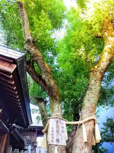 古伝馬神社のその他建物