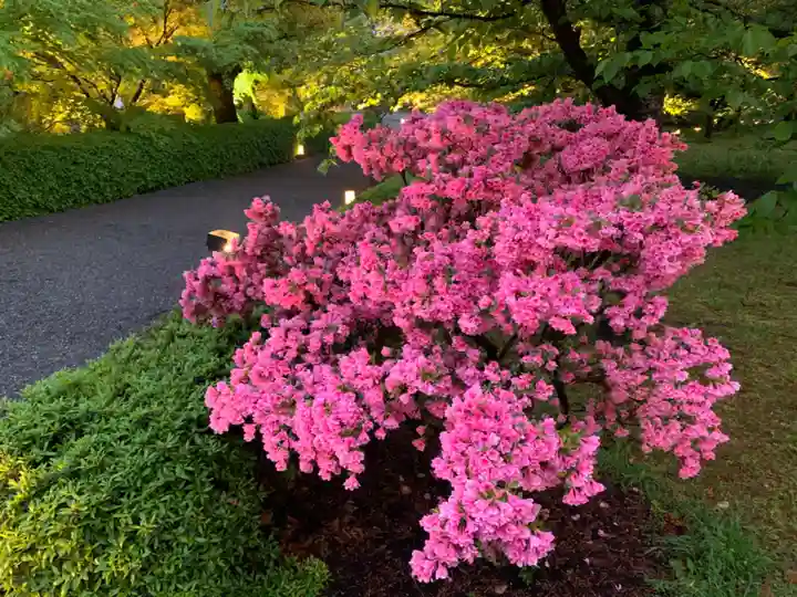 東寺(教王護国寺)の自然