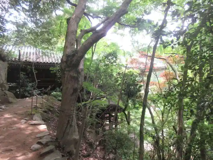 圓教寺(兵庫県)