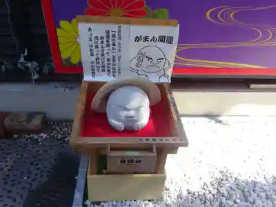 菊名神社の体験その他