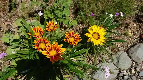 養食山 常泉寺の自然