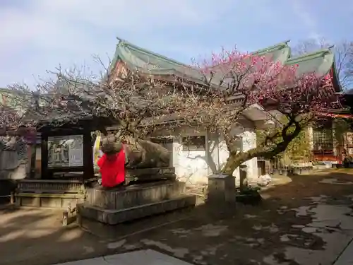 北野天満宮の狛犬