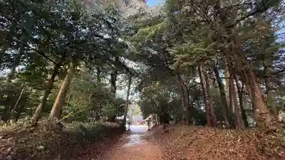 知乃神社(兵庫県)