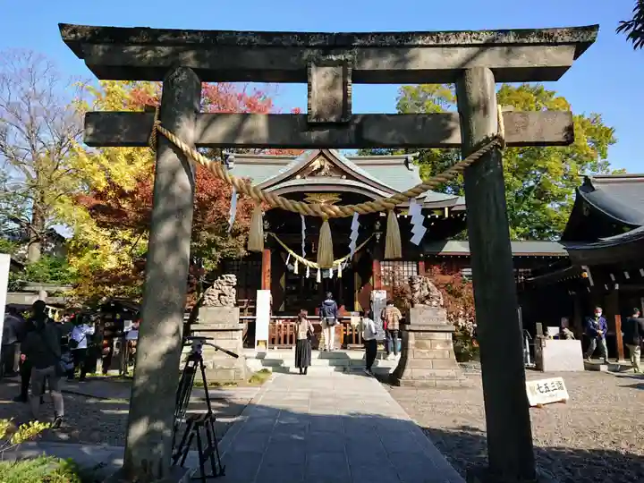行田八幡神社の鳥居