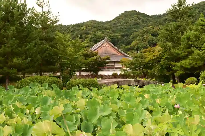 天龍寺(京都府)