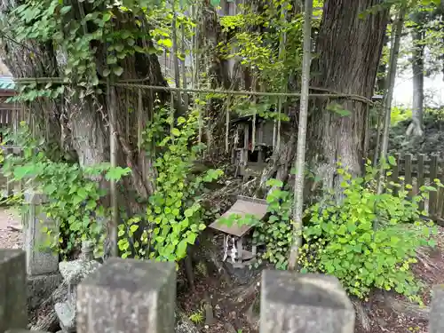 小室浅間神社(山梨県)