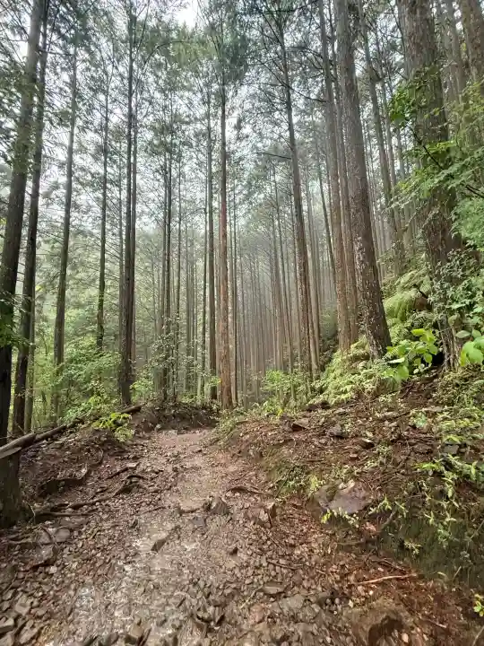 熊野本宮大社の{uncategorized: "未分類", other: "その他", undefined: "問題あり", building: "その他建物", grave: "お墓", sacred_gate: "鳥居", guardian: "狛犬", statue: "像", buddha: "仏像", history: "歴史", nature: "自然", garden: "庭園", animal: "動物", pagoda: "塔", temizu: "手水舎", mountain_gate: "山門・神門", sanctuary: "本殿・本堂", subordinate: "末社・摂社", art: "芸術", scenery: "景色", jizo: "地蔵", ema: "絵馬", goshuin: "御朱印", omikuji: "おみくじ", items: "授与品その他", amulet: "お守り", goshuincho: "御朱印帳", eats: "食事", festival: "お祭り", votive_dance: "神楽", shichigosan: "七五三参", wedding: "結婚式", experience: "体験その他", initially: "初詣", around: "周辺", anti_infection: "感染症対策"}