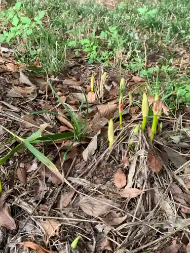 胸形神社(栃木県)