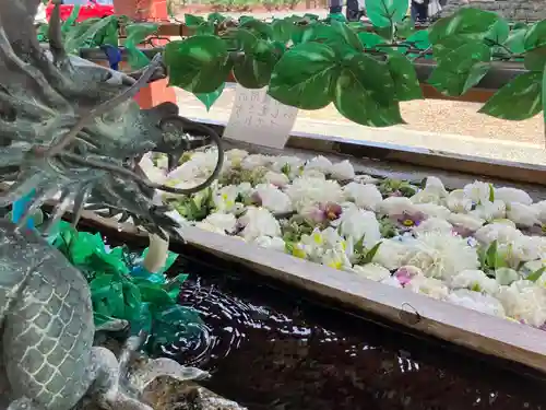津島神社の手水舎
