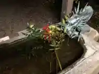 宇佐八幡神社(徳島県)