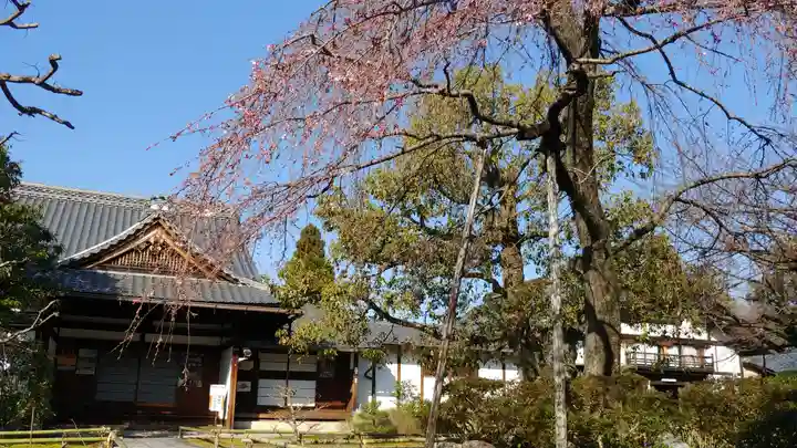 上品蓮台寺のその他建物