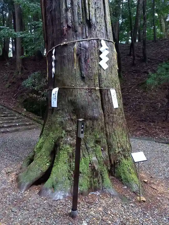 元伊勢内宮 皇大神社の芸術
