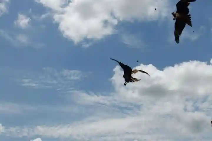 嚴島神社(山口県)
