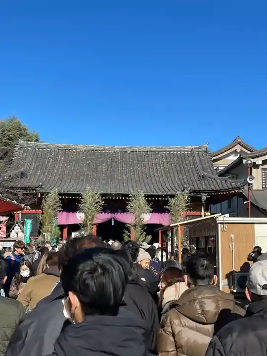 浅草神社の初詣
