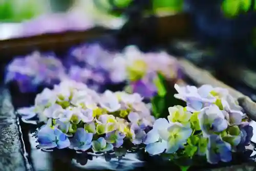 龍泉寺の手水舎