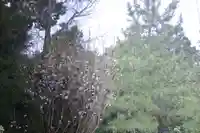 寒川神社(神奈川県)