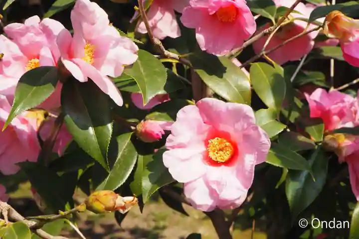 城南宮(京都府)