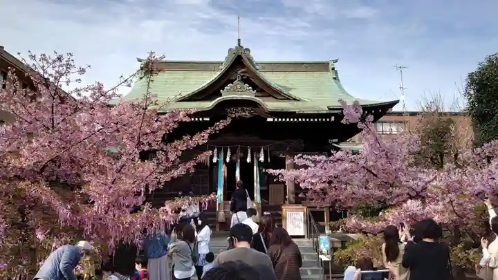 桜神宮の本殿・本堂