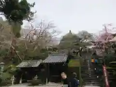 善峯寺(京都府)