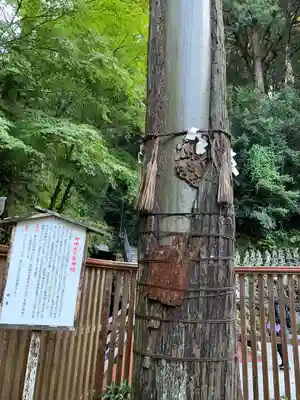 南蔵院(福岡県)