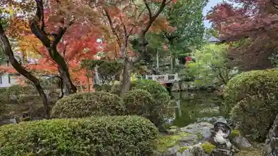 神光院(京都府)