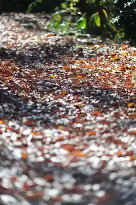 浄土寺(兵庫県)