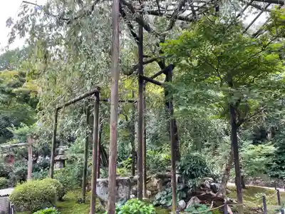 一條殿 新善光寺(京都府)