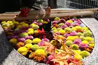 阿邪訶根神社の手水舎