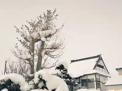 雨竜　専福寺(北海道)