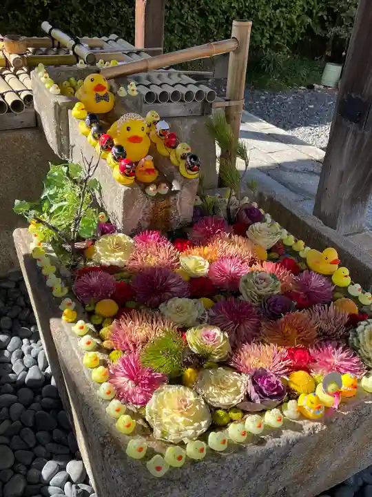 くろ谷 金戒光明寺の手水舎