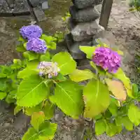 伊勢の国 四天王寺(三重県)