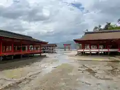 厳島神社(広島県)