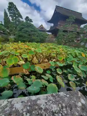 善光寺大勧進のその他建物