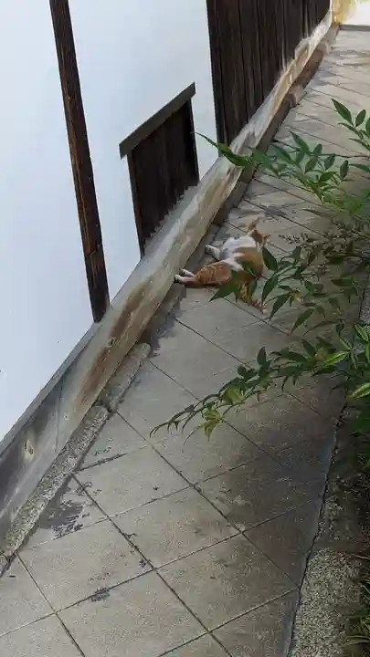 毘沙門堂門跡(京都府)