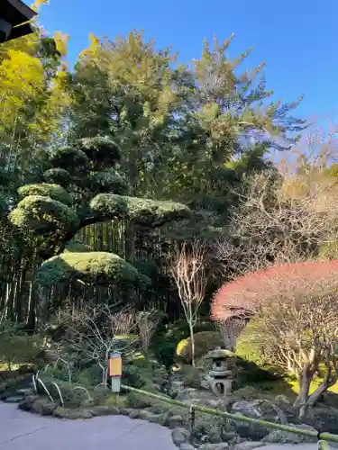 報国寺の庭園