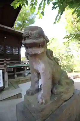 千束八幡神社の狛犬