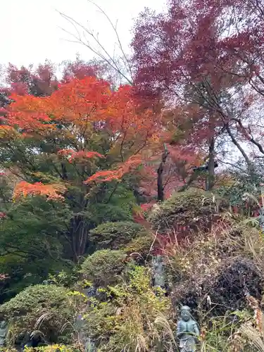 高尾山薬王院の景色