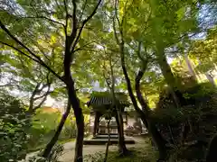 圓光寺(京都府)