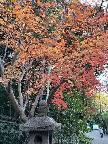 石清水八幡宮(京都府)