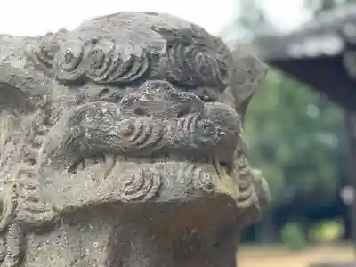 伏木香取神社の狛犬