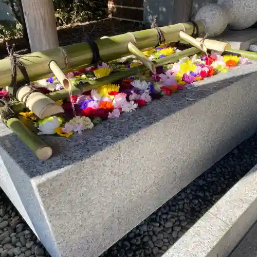 東郷神社の{uncategorized: "未分類", other: "その他", undefined: "問題あり", building: "その他建物", grave: "お墓", sacred_gate: "鳥居", guardian: "狛犬", statue: "像", buddha: "仏像", history: "歴史", nature: "自然", garden: "庭園", animal: "動物", pagoda: "塔", temizu: "手水舎", mountain_gate: "山門・神門", sanctuary: "本殿・本堂", subordinate: "末社・摂社", art: "芸術", scenery: "景色", jizo: "地蔵", ema: "絵馬", goshuin: "御朱印", omikuji: "おみくじ", items: "授与品その他", amulet: "お守り", goshuincho: "御朱印帳", eats: "食事", festival: "お祭り", votive_dance: "神楽", shichigosan: "七五三参", wedding: "結婚式", experience: "体験その他", initially: "初詣", around: "周辺", anti_infection: "感染症対策"}
