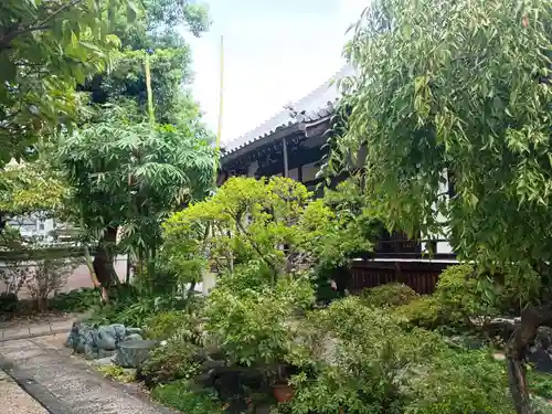 浄國寺（浄国寺）(大阪府)