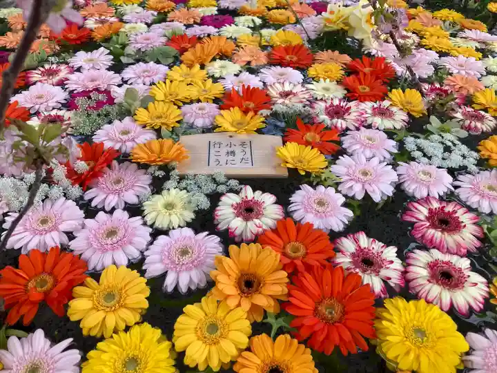 住吉神社の手水舎