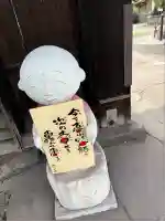 四季桜の寺 妙乗院(愛知県)