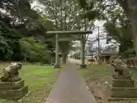 大宮神社の狛犬
