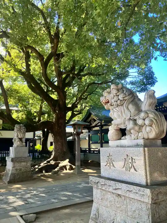 穴八幡宮(東京都)