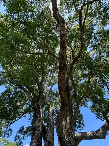 サムハラ神社 奥の宮(岡山県)
