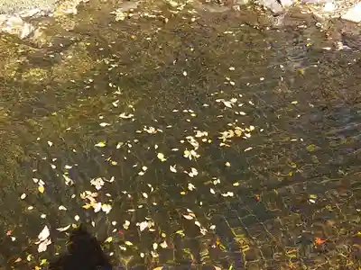 戸隠神社九頭龍社(長野県)