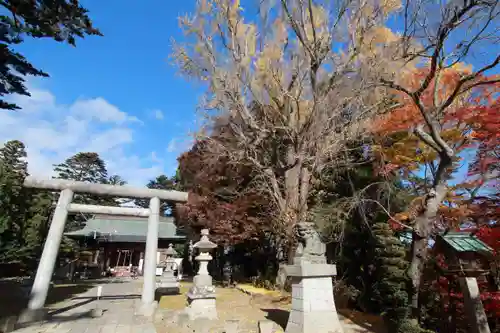 三春大神宮の鳥居