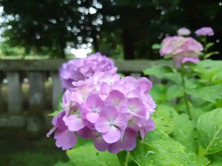 今宮神社(栃木県)